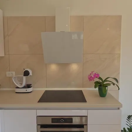 Apartment Fuer 4 Personen Ca 46 Qm In Vinkuran, Istrien Istrische Riviera Vinkuran